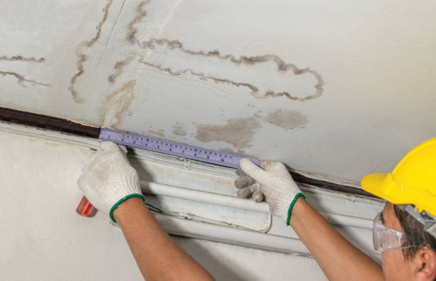 Reliable Water Damage contractor in Columbus, NJ by Water Damage Irwin